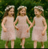 Little Princess Ruffle Lace Lux Edition - Priority Shipping Dresses Little Palace Store